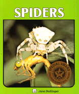 Spiders