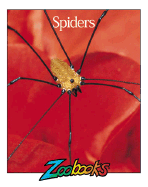 Spiders