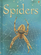 Spiders