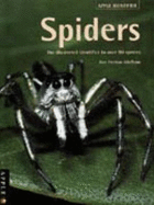 Spiders