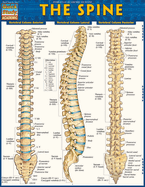 Spine