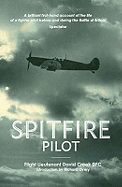 Spitfire pilot
