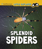 Splendid Spiders