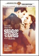 Splendor in the Grass - Elia Kazan
