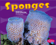 Sponges