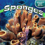Sponges