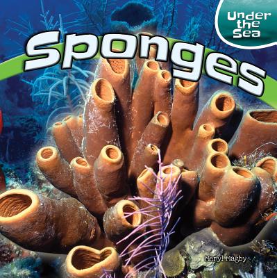 Sponges - Magby, Meryl