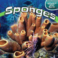 Sponges