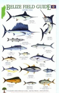 Sport Fish