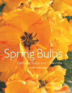 Spring Bulbs: Daffodils, Tulips and Hyacinths