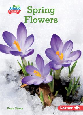 Spring Flowers - Peters, Katie