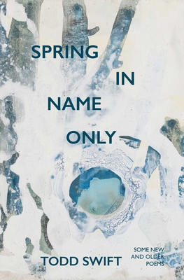 Spring In Name Only - Swift, Todd