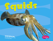 Squids