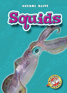 Squids