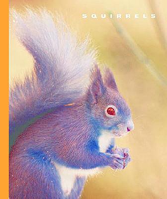 Squirrels - Murray, Peter