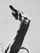 Sriwhana Spong: Nijinsky