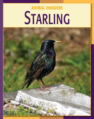 Starling - Gray, Susan H