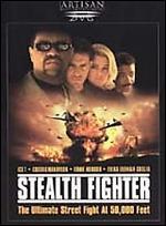 Stealth Fighter