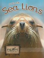 Steller Sea Lions