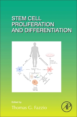 Stem Cell Proliferation and Differentiation - Fazzio, Thomas G. (Volume editor)