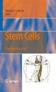 Stem Cells: From Hydra to Man