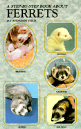 Step-By-Step about Ferrets