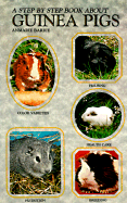 Step-By-Step about Guinea Pigs