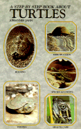 Step-By-Step about Turtles