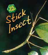 Stick Insect