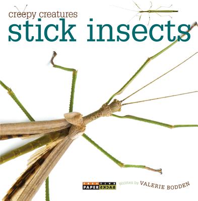 Stick Insects - Bodden, Valerie