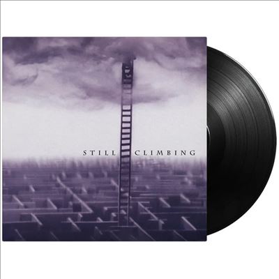 Still Climbing - Cinderella