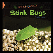 Stink Bugs