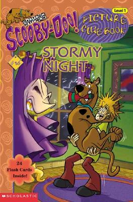Stormy Night - Wasserman, Robin, and del Sur, Duendes (Illustrator)
