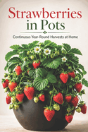 Strawberries in Pots: Continuous Year-Round Harvests at Home