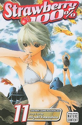 Strawberry 100%, Volume 11 - 