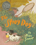 Stray Dog