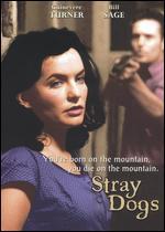 Stray Dogs