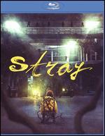 Stray