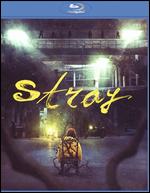 Stray - Joe Sill