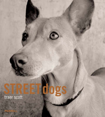 Street Dogs - Scott, Traer