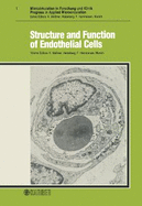 Structure & Function of Endothelial Cells