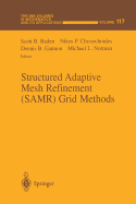 Structured Adaptive Mesh Refinement (Samr) Grid Methods