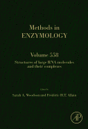Structures of Large RNA Molecules and Their Complexes