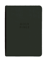 Study Bible-KJV