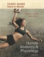 Study Guide for Human Anatomy & Physiology