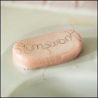 Stumpwork - Dry Cleaning