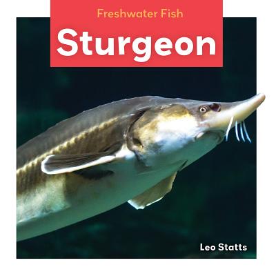 Sturgeon - Statts, Leo