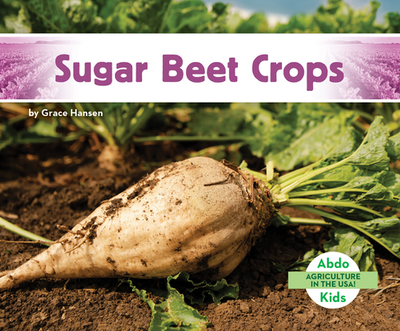 Sugar Beet Crops - Hansen, Grace