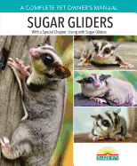 Sugar Gliders