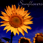 Sunflowers - Briccetti, Rebecca Atwater (Introduction by), and Briccetti, Rebecca W